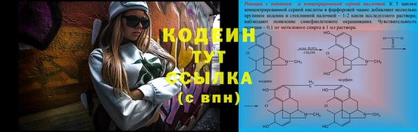 молекула духа Осташков