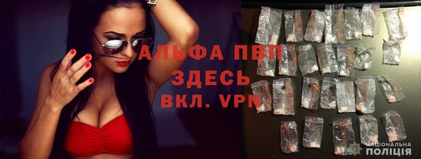 стаф Абаза