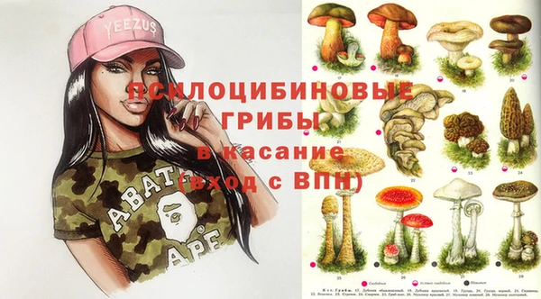 мяу мяу мука Абдулино