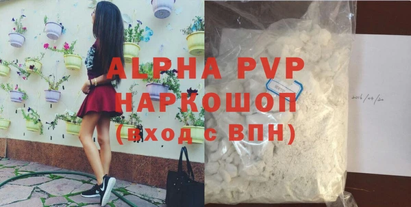 молекула духа Осташков