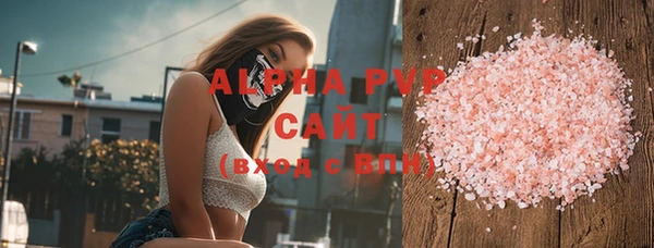 молекула духа Осташков