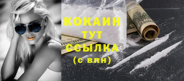 трава Осинники