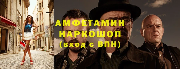 молекула духа Осташков