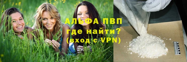 трава Осинники